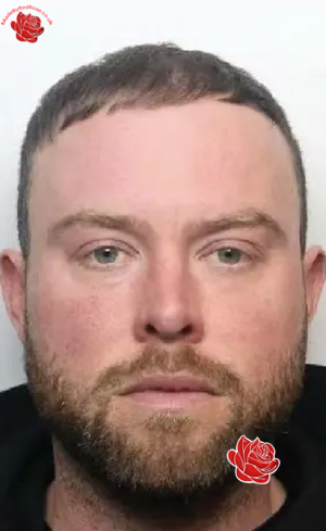 Profile image of Iain Gladstone